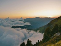 蜜桃视频想转发前：先看导语先定调了吗，再把剪辑按时间线重排