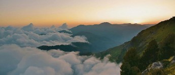 蜜桃视频想转发前：先看导语先定调了吗，再把剪辑按时间线重排